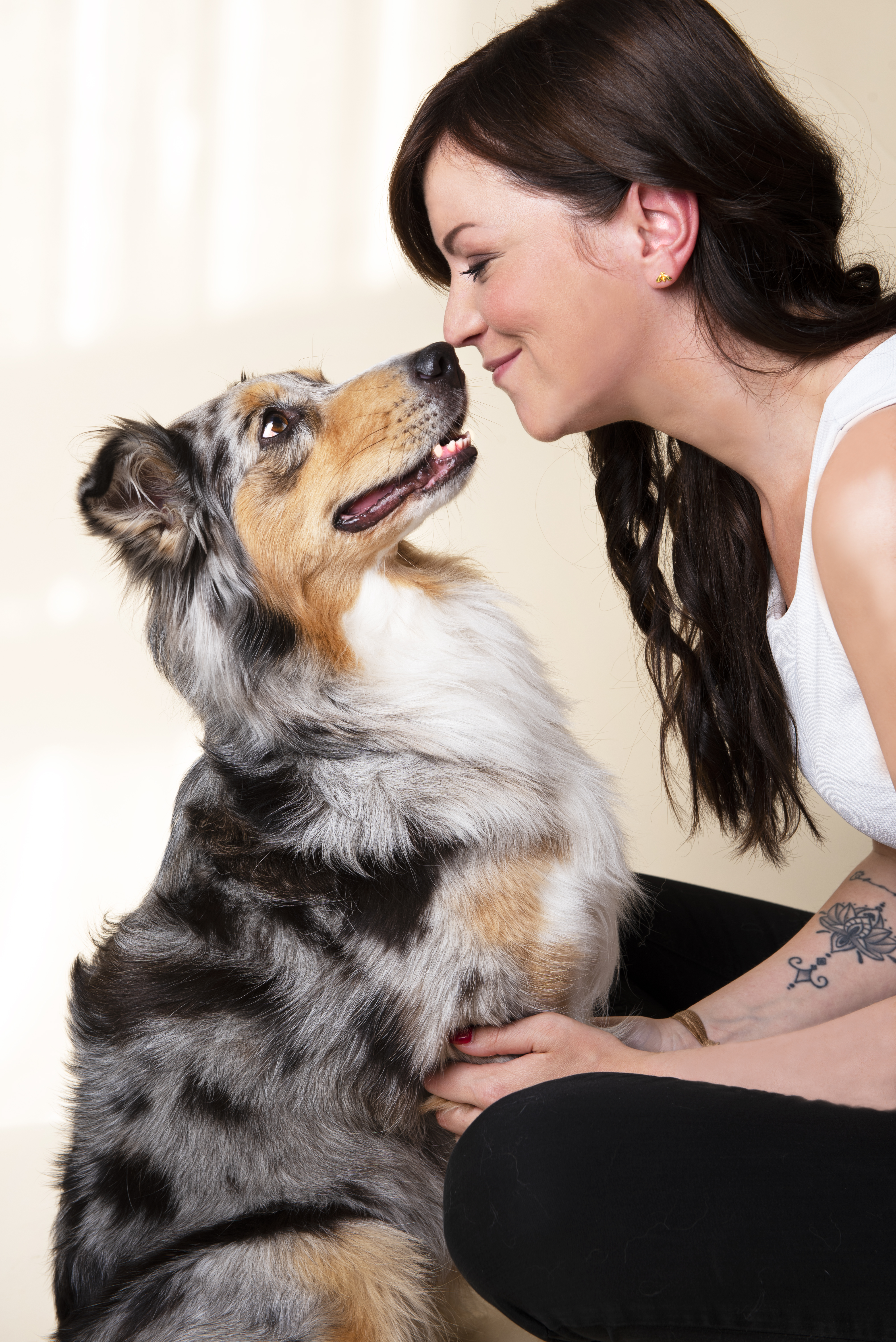 fressnapf_adventskalender1